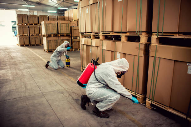 Wasp Removal Services in Huntsville, TN
