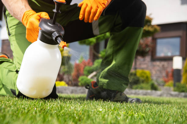Best Commercial Pest Control Services  in Huntsville, TN