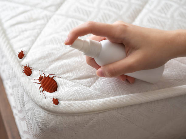 Best Best Pest Control Companies  in Huntsville, TN