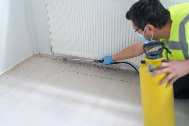 Best Pest Inspection Near Me  in Huntsville, TN