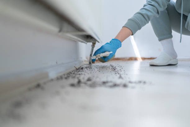 Best Cockroach Control Services  in Huntsville, TN